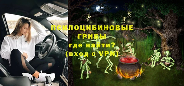 молекула духа Горнозаводск