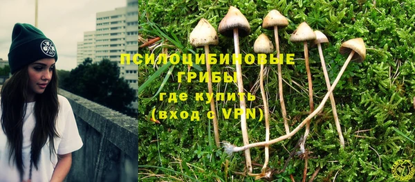 молекула духа Горнозаводск
