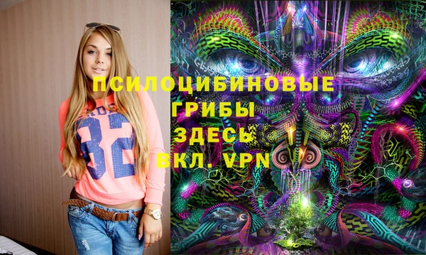 МДПВ Гусев